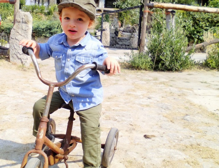 IMG_20160814_112008_2