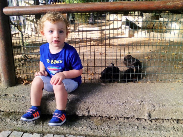 IMG_20160904_182802_2