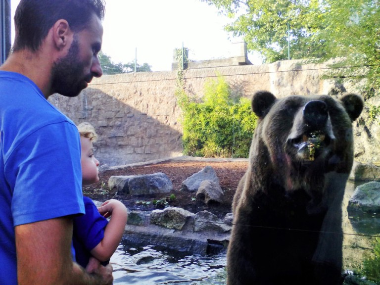 IMG_20160904_183319_4